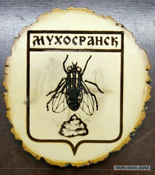 Эти мухи, черт возьми, выбрали не тот офис!