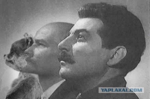 Таксидермия + наркомания