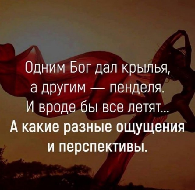 Аморальная деградация