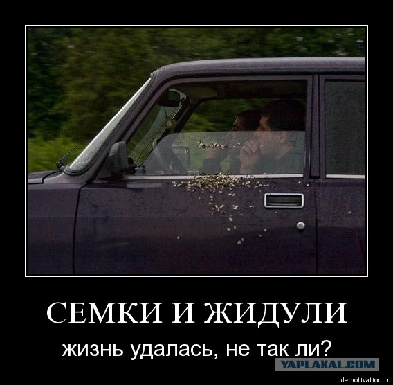 Обычный болельщик "Анжи"