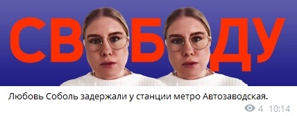 Любовь Соболь задержана в Москве