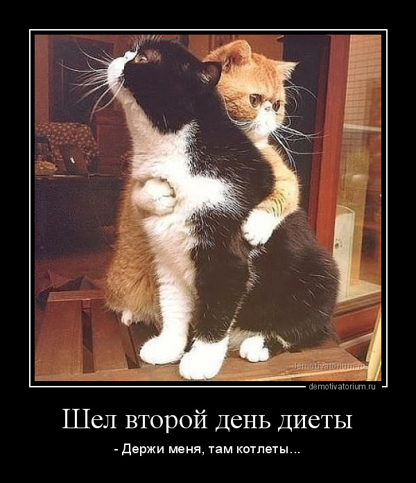Диета Сибарит - для лентяев и обжор.