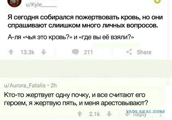 Разной степени баянности пикчи