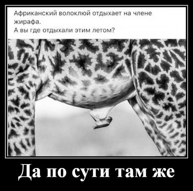 Просто картинки 05.07.2021
