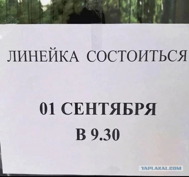 Свинегрет: картинки, надписи и прочее "на", №33