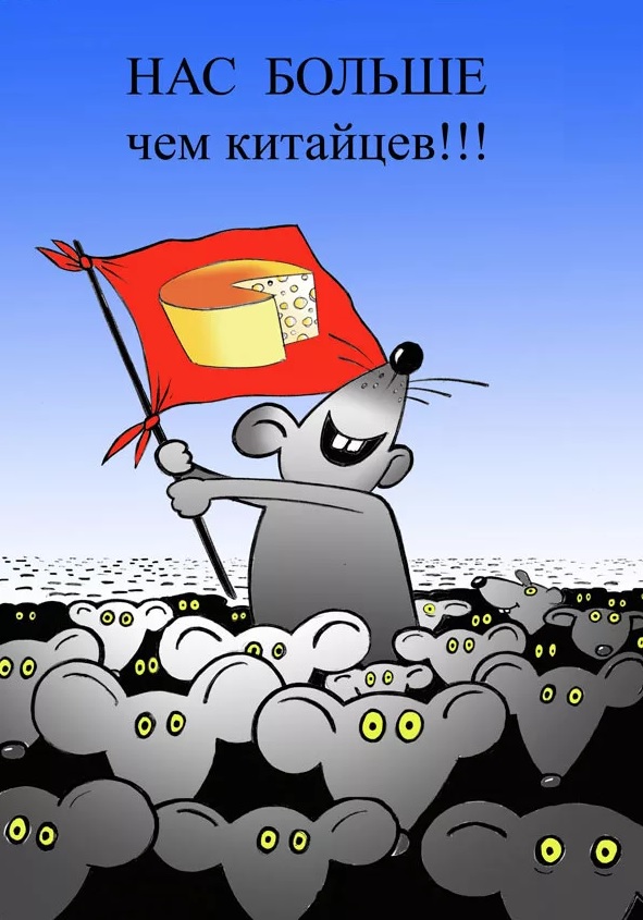 Поймать мыша не удалось