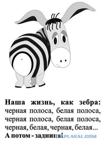 Коротко о нашей жизни