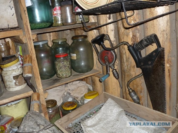 Лесное жилище