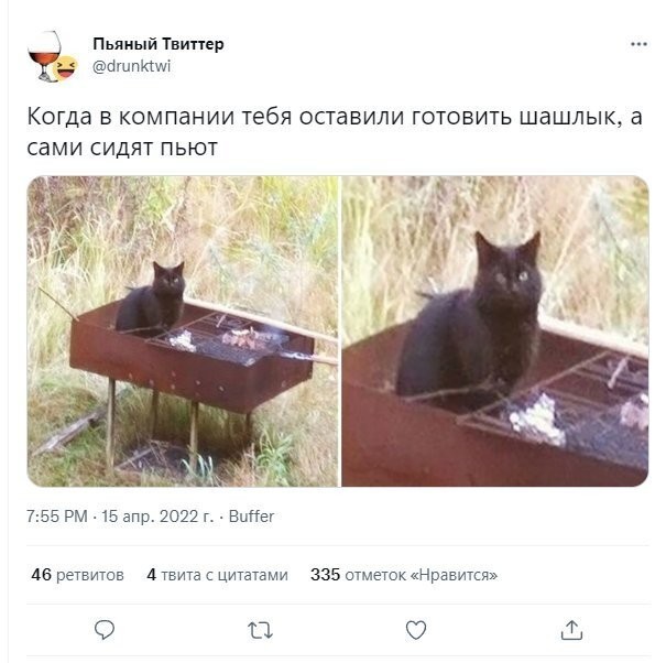 Веселые картинки!