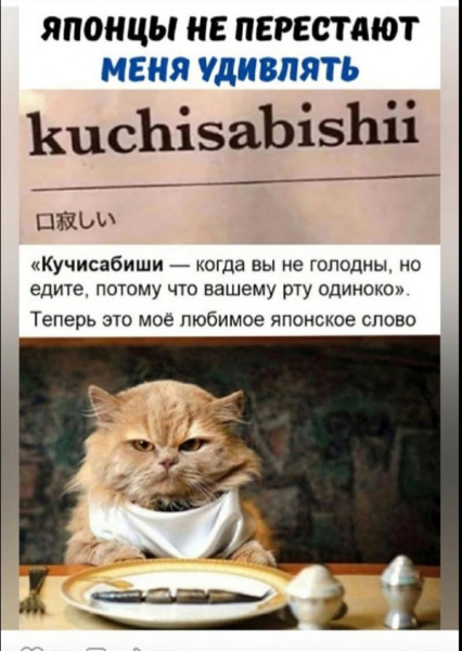 Так себе картинки 22.07.22