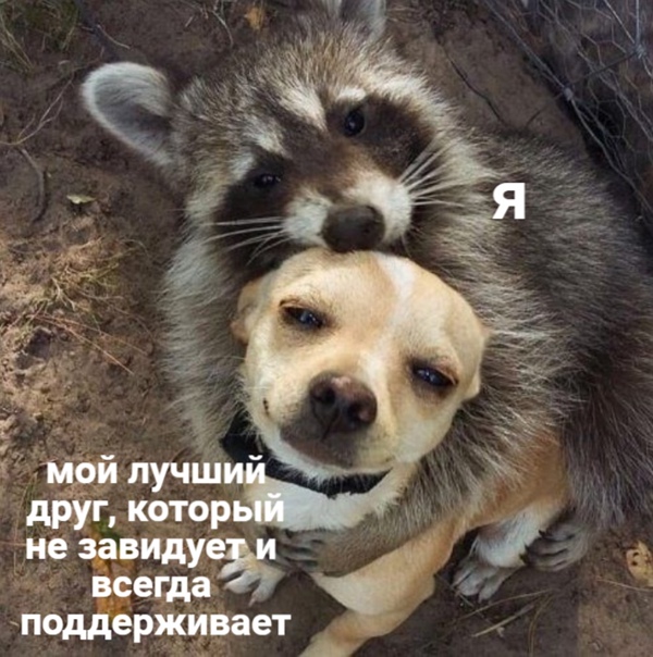 Немного картинок для настроения - 119