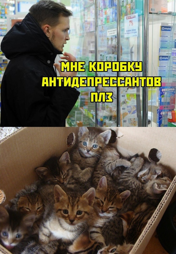 Картинки и мемы для настроения - 31
