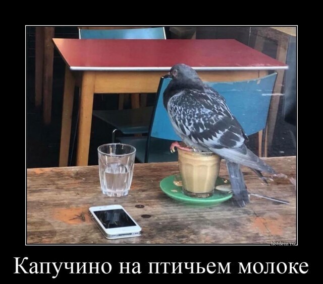 Картинки с надписями 17.09.22