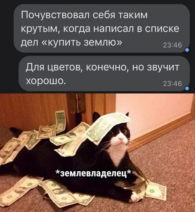 Картинки и мемы для настроения - 21