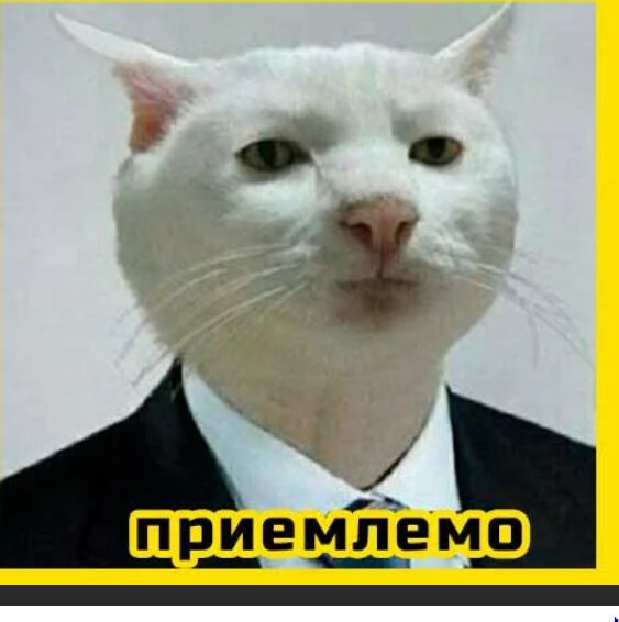 Пандемия съехавших крыш - разновидности болезни. Россия и мир. Часть 42.