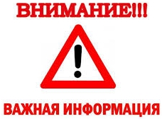 Пандемия съехавших крыш - разновидности болезни. Россия и мир. Часть 45.
