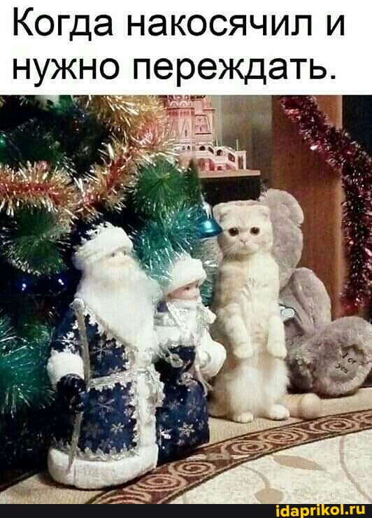 Алкопост  23.12.22