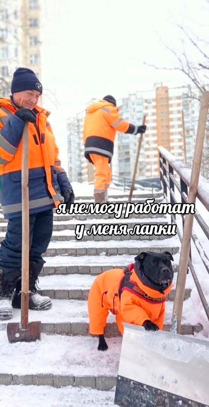 Картинки и мемы, всем хороших выходных