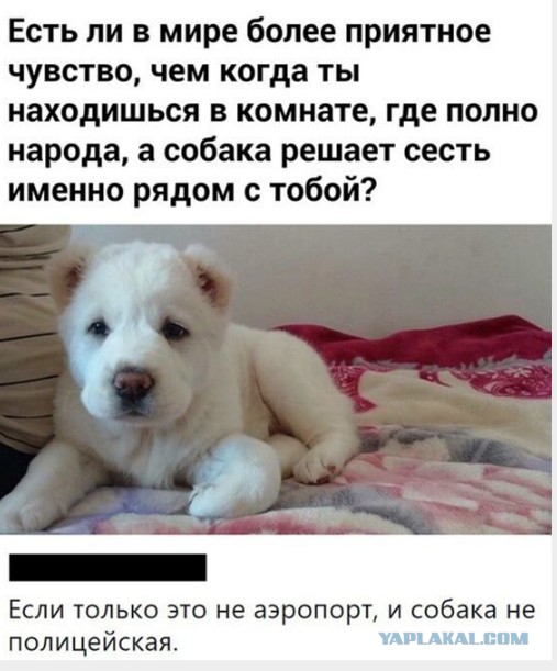 Бессистемная подборка 3