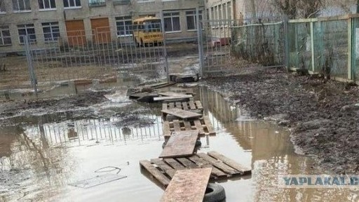 Деревянные мостки веремен неолита возрастом почти 6 тысяч лет