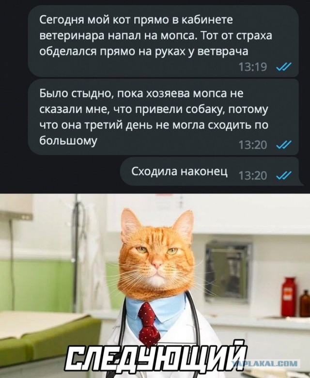 Картинки и мемы, всем хороших выходных