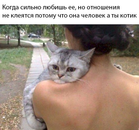 Бояны 8-ми летней выдержки