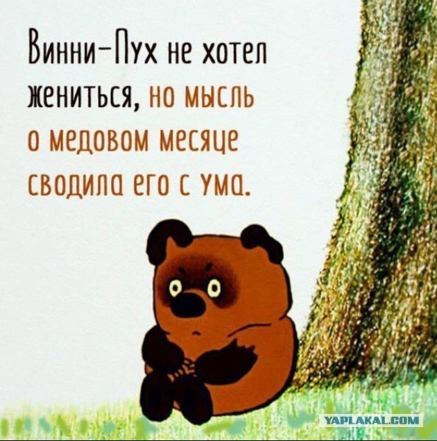 Сказка в жизни
