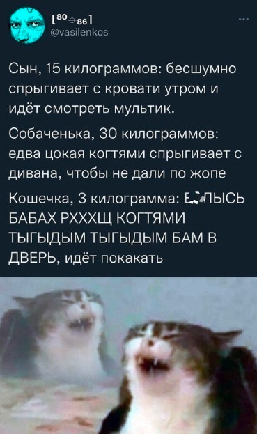 Всего понемногу. От 04.03.24