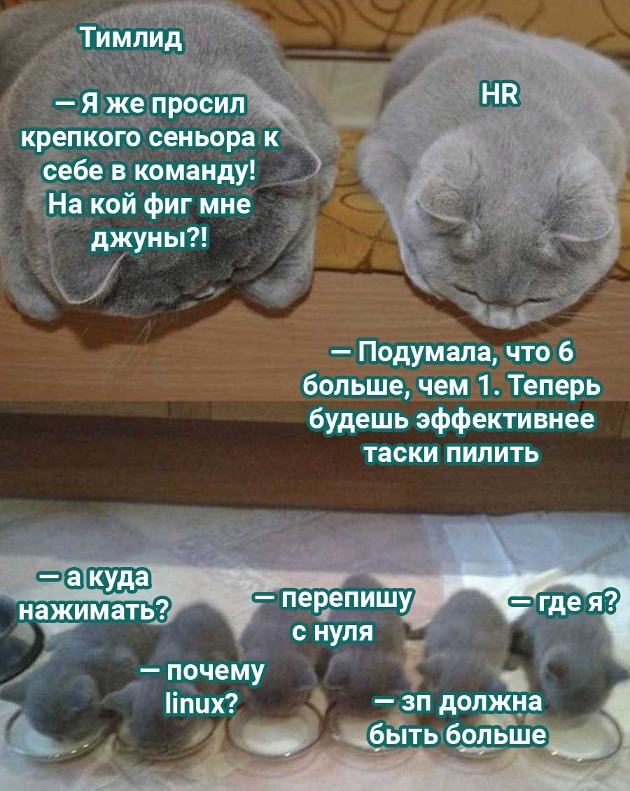 Не могу найти свой пост на главной. - ЯПлакалъ