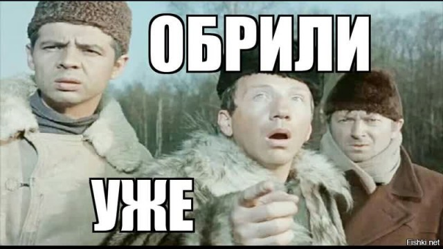 Мусю вычесали