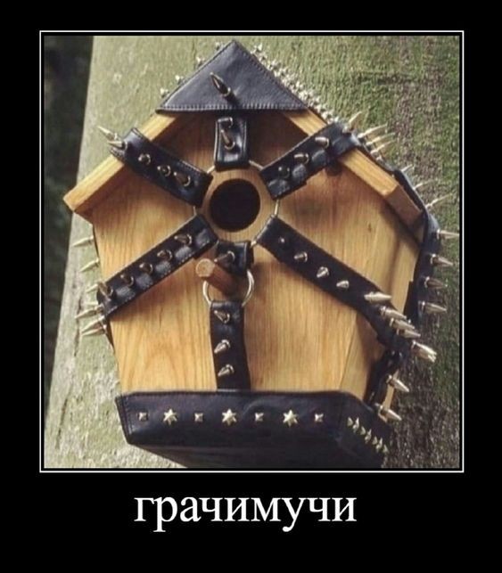 Юмор в картинках и без