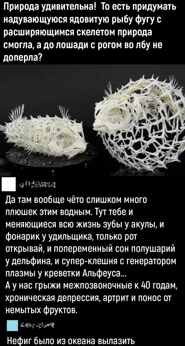 Трехметровый марлин