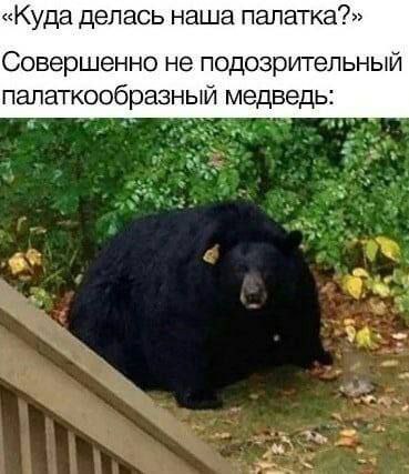 Никакие картинки и тексты
