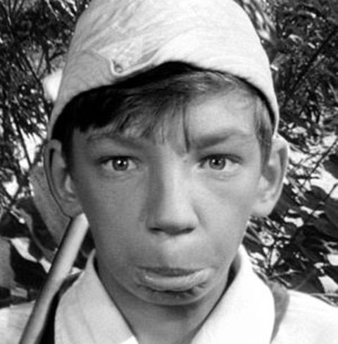 Конкурс «Космические грибы». Итоги