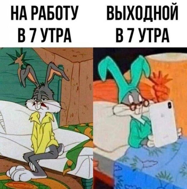 Юмор в картинках и без