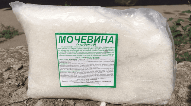 5 фактов о всем привычном ПВА, которые наделяют его совершенно необычными качествами: он будет крепче суперклея