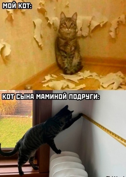 Нуштош 07.01.2025. Межпраздничный спецвыпуск