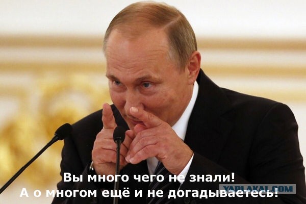 Россиян начали штрафовать за покупку авто у иностранцев наличкой — на 20–40% от всей суммы сделки