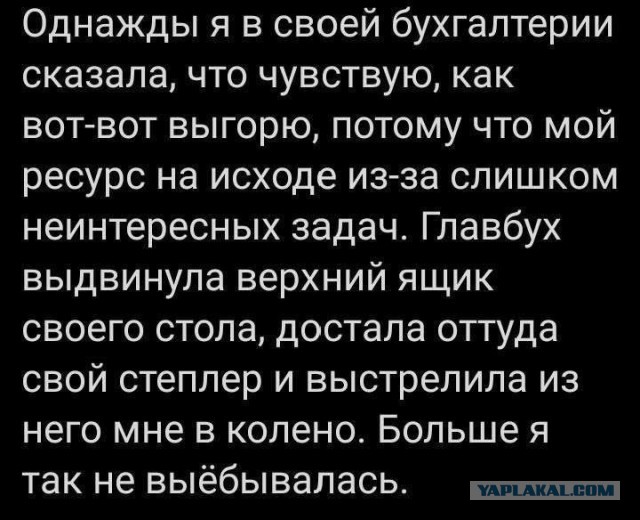 Всего понемногу. От 08.03.2025