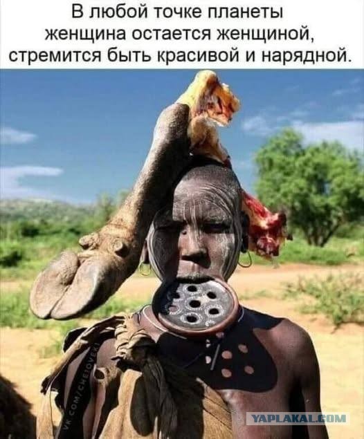 Каартинки весёлые и не очень