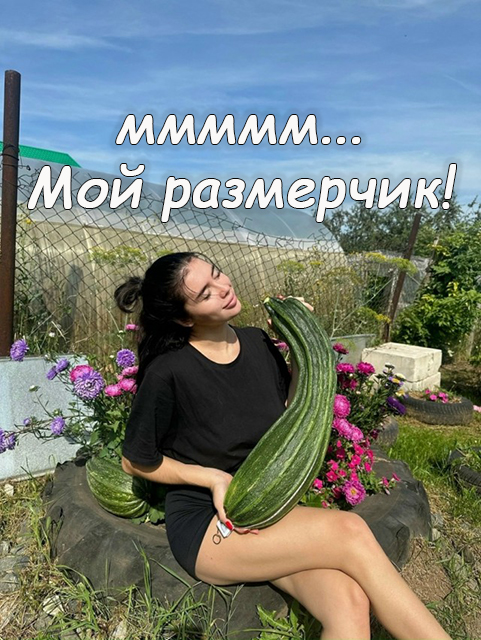 Власти Пермского округа нашли дачника с самым длинным кабачком