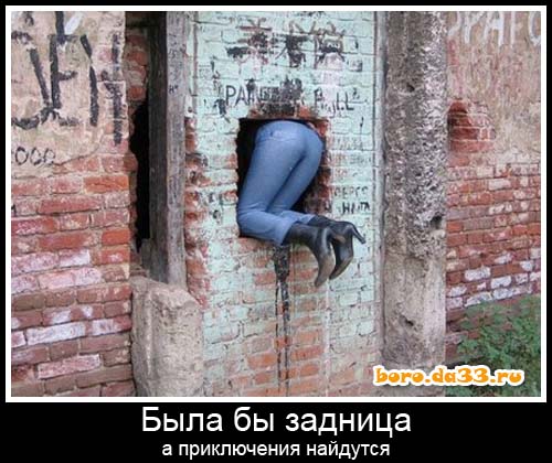 Картинки для деградации 48 (разной степени свежести)