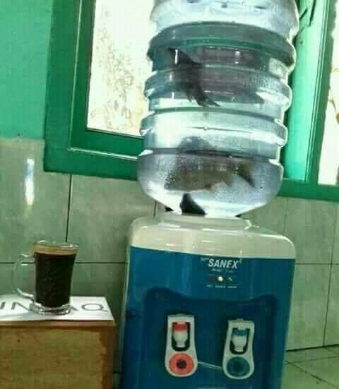Субботние картинки
