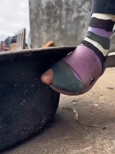 Китайское