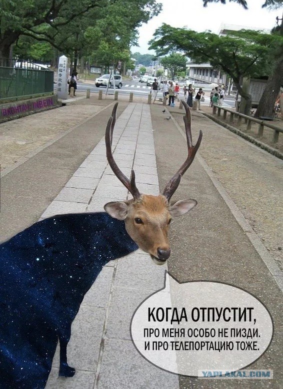 RealVor - Застольная