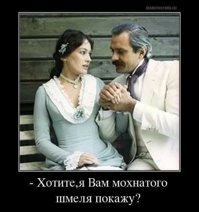 Что любят шмели?
