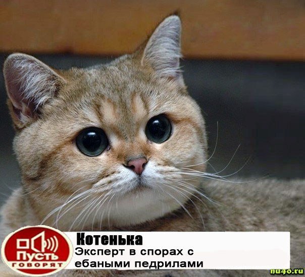 Мужик заливает комнату соседки вонючей гадостью