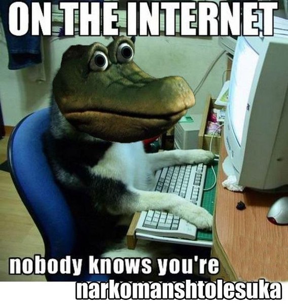 В РФ предложили создать свой интернет Чебурашка