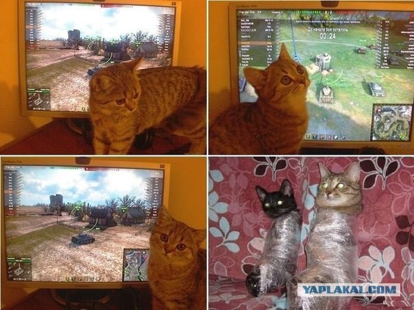 Удар ниже пояса