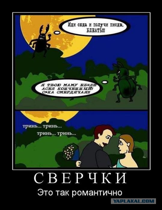 Смешные комментарии из социальных сетей 09.06.14